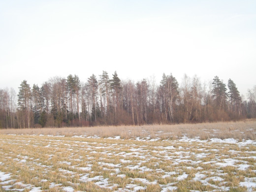 23687 (a): :1024x768